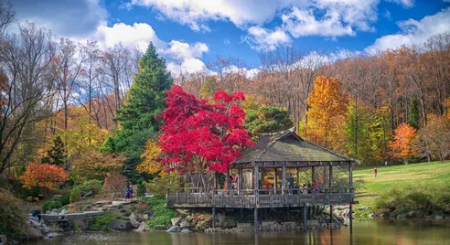 Brookside Gardens