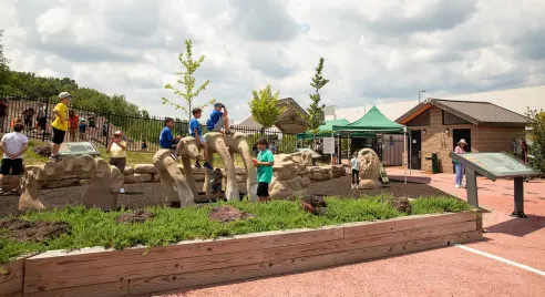 Dinosaur Park