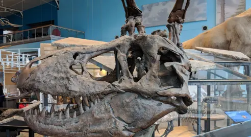 Maryland Science Center