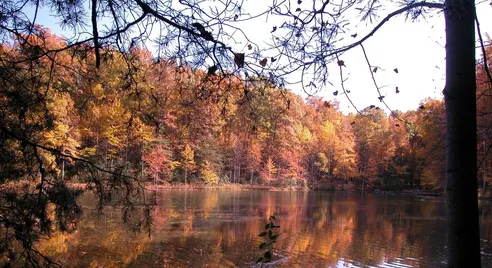 Seneca Creek State Park