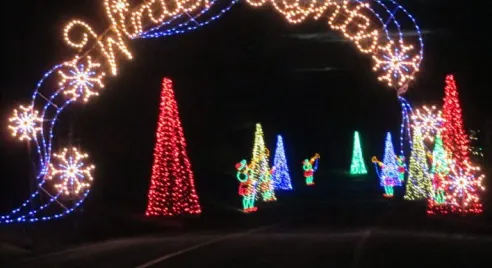Winter Lights Festival at Seneca Creek State Park